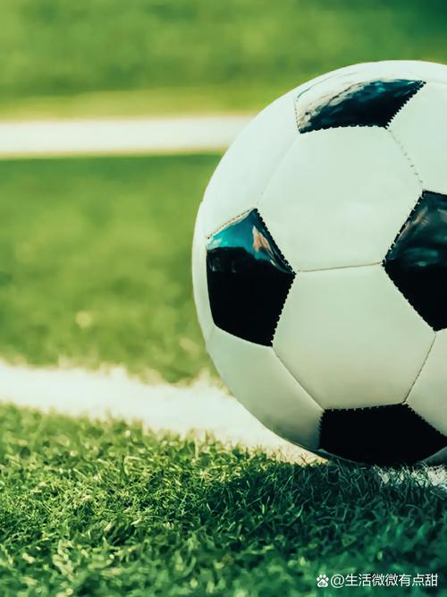 数据分析师使用专业工具